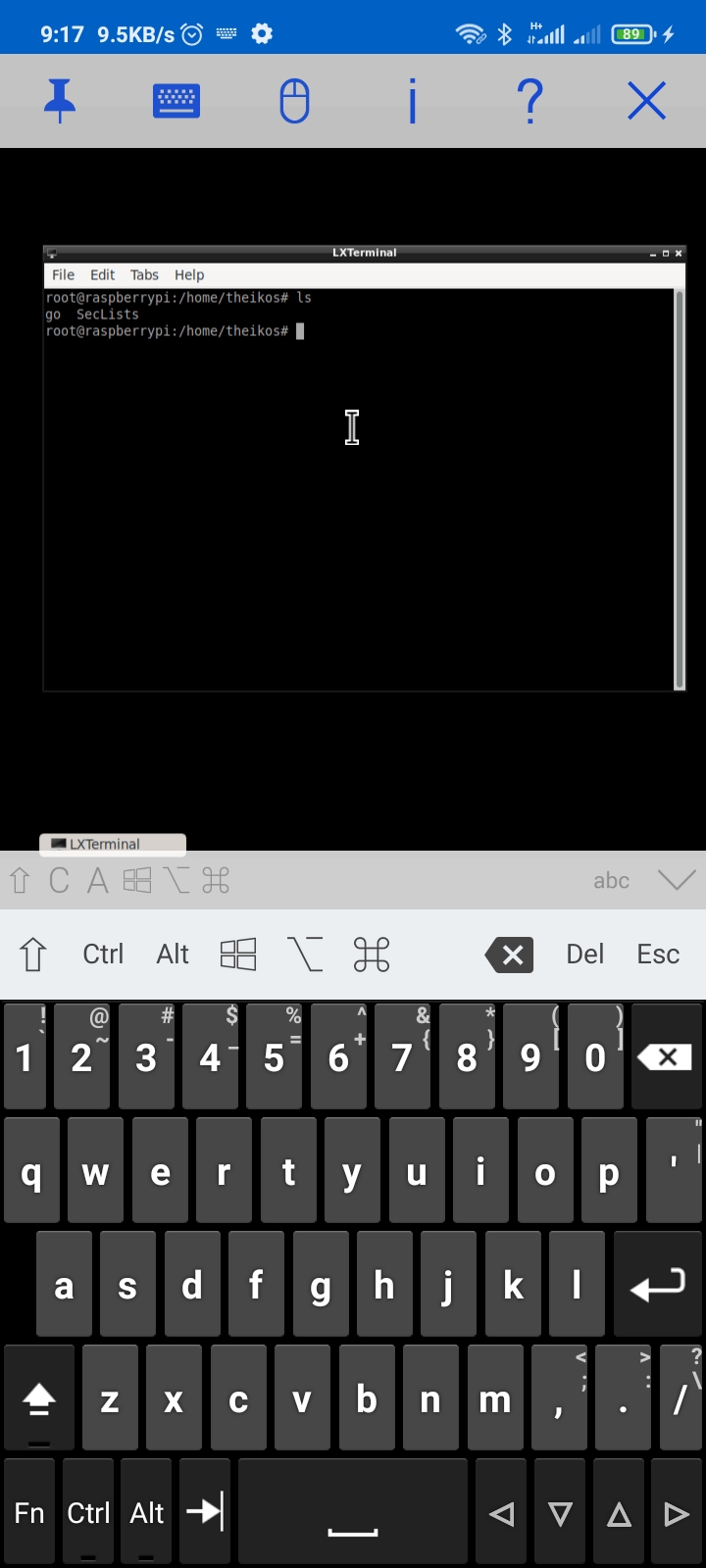 raspberry pi vnc terminal screen