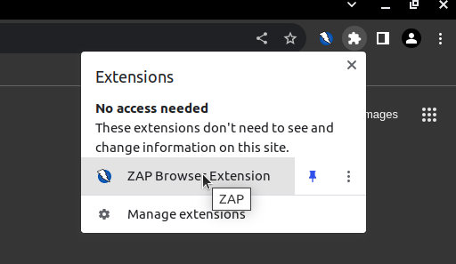 Browser Extension Icon