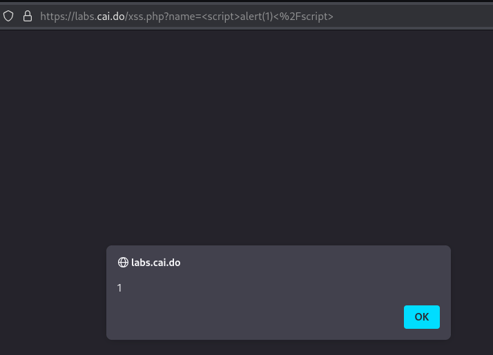 xsspoc.png