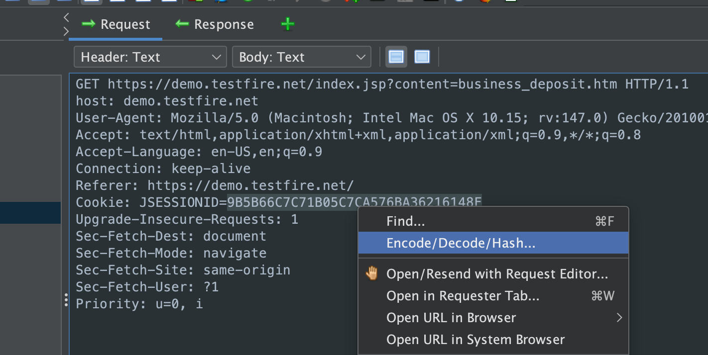 Screenshot depicting a text highlight and ZAP&rsquo;s context menu